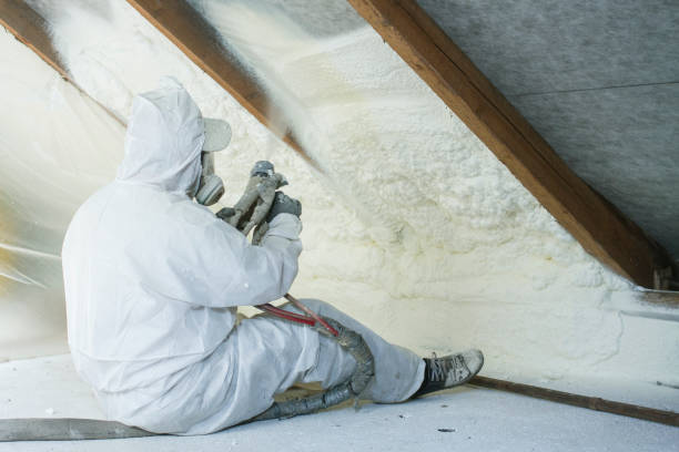 Best Insulation for New Construction  in Stlman Valley, IL