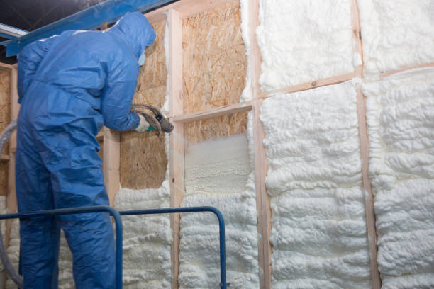 Best Pipe and Duct Insulation  in Stlman Valley, IL